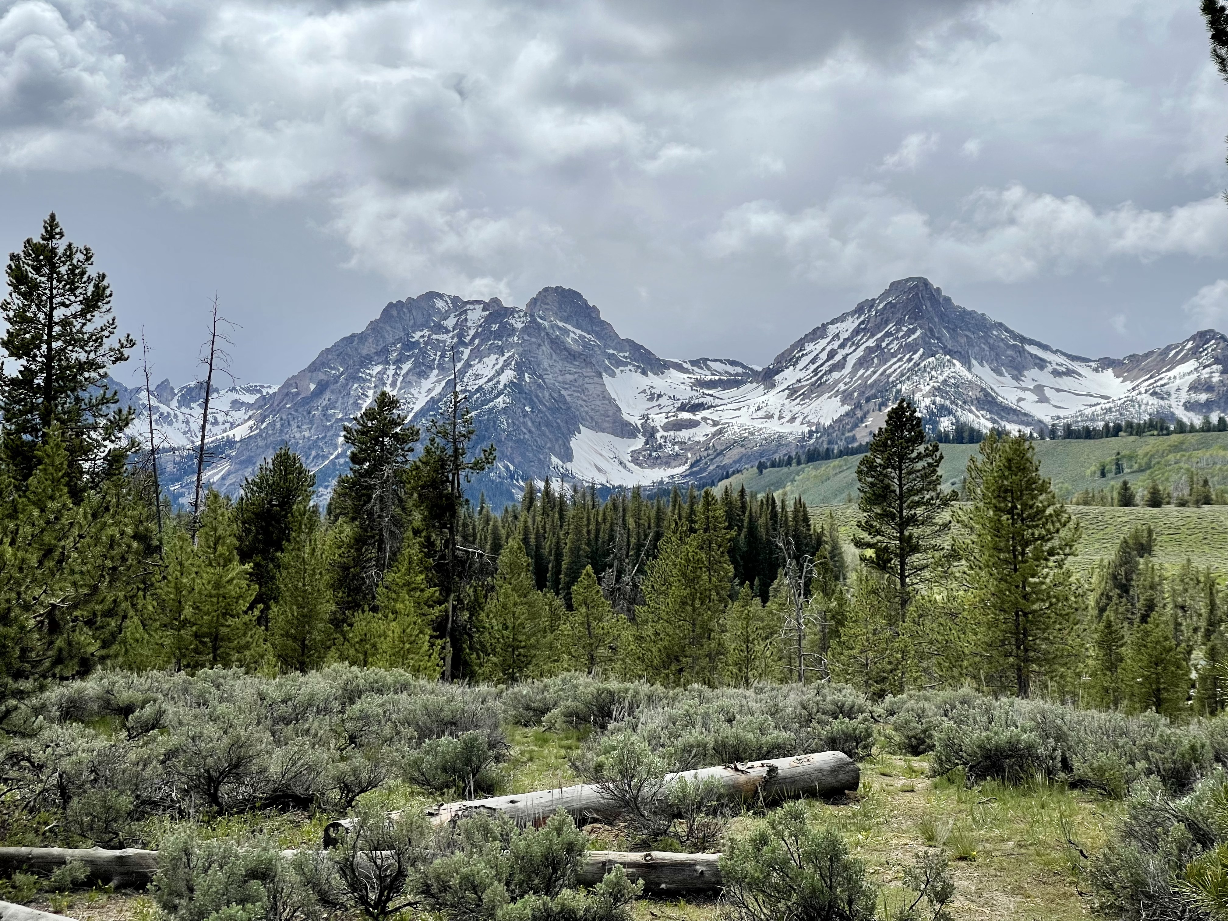 Snow-streaked mountain peaks above green pine trees and an open meadow, photographed by Hillview Drone Works
